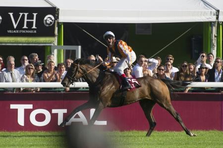 Galopp: Starke für das Derby gesperrt Galopp: Starke für das Derby gesperrt