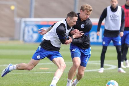 Schalke: Trainigsauftakt am 22. Juni im Parkstadion Schalke: Trainigsauftakt am 22. Juni im Parkstadion