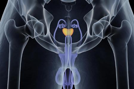 So massiert sie Ihre Prostata richtig So massiert sie Ihre Prostata richtig