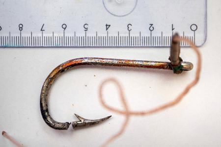 Die 10 besten Tipps für Angler und die es werden wollen
