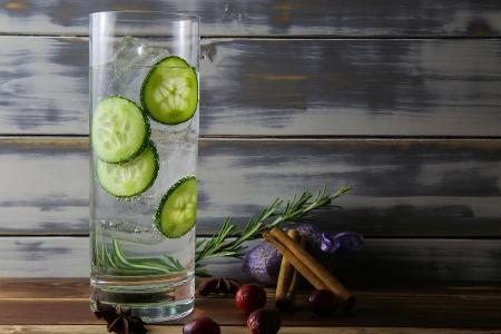Gin-Botanicals: Wie Sie Ihren Lieblingsdrink verfeinern