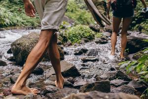 Ohne Schuhe: Deshalb ist Barfußwandern so gesund