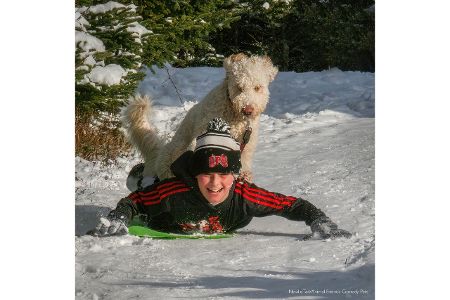 Diese Tierfotos der Comedy Pet Photo Awards 2022 bringen Sie zum Lachen