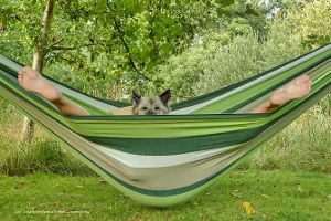 Comedy Pet Photo Awards 2022: Die besten Fotos