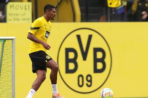 BVB-Stürmer Haller an Hodenkrebs erkrankt