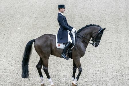 Dressur-WM: Werndl für die Kür qualifiziert Dressur-WM: Werndl für die Kür qualifiziert