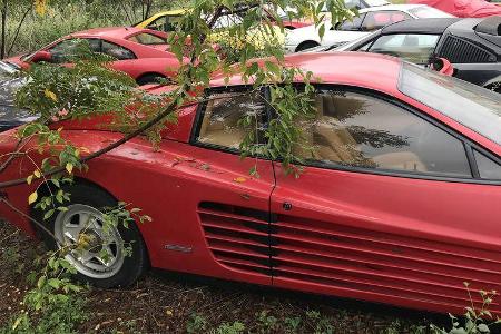05/2019, Verlassene Ferraris in Houston 05/2019, Verlassene Ferraris in Houston