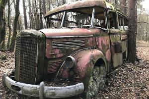Mercedes O 3500 stand 50 Jahre im Wald