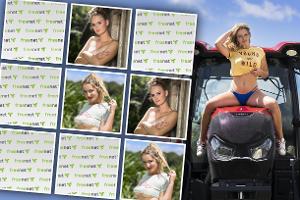 Passion for Farming-Kalender: Das Memo-Spiel