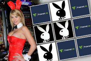 Memo-Spiel mit den Playmates 2021 fntdt