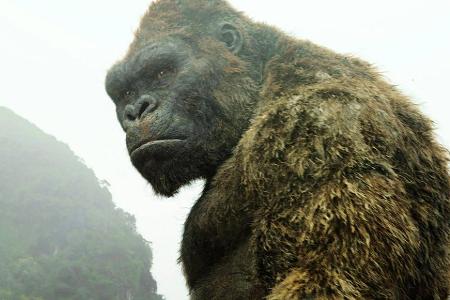 Riesenaffe King Kong bekommt eigene Serie bei Disney+ Riesenaffe King Kong bekommt eigene Serie bei Disney+