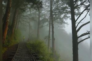 Sprechen verboten: Dieser Wanderweg in Taiwan ist einzigartig