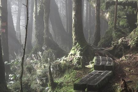 Sprechen verboten: Dieser Wanderweg in Taiwan ist einzigartig