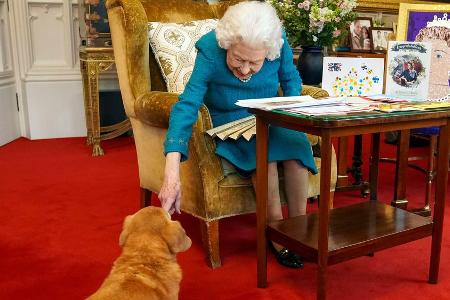 Queen Elizabeth II.: Was passiert nun mit ihren Hunden? Queen Elizabeth II.: Was passiert nun mit ihren Hunden?