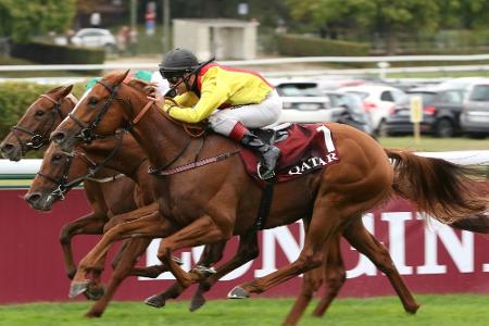 Galopp: Torquator Tasso beendet Karriere und wird Deckhengst Galopp: Torquator Tasso beendet Karriere und wird Deckhengst