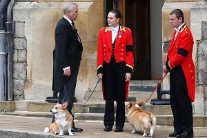 Sarah Ferguson verrät: So geht es den Corgis von Queen Elizabeth II.