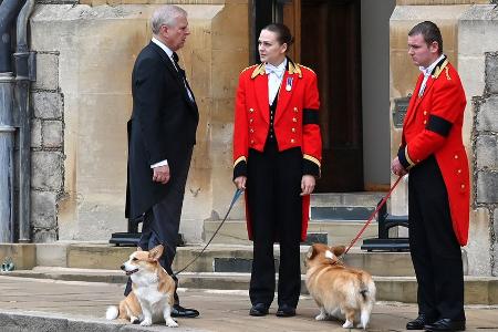 Sarah Ferguson verrät: So geht es den Corgis von Queen Elizabeth II. Sarah Ferguson verrät: So geht es den Corgis von Queen Elizabeth II.