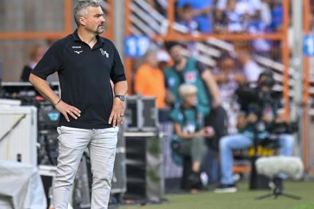 Medien: Reis wird als Nachfolger auf Schalke gehandelt Medien: Reis wird als Nachfolger auf Schalke gehandelt