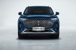 Plug-in-Hybrid-SUV mit viel E-Reichweite