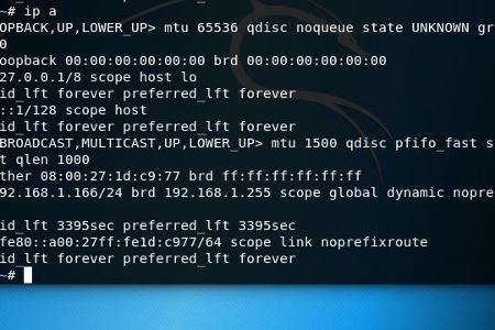 Die Ausgabe von ip a unter Kali Linux in Virtual Box.