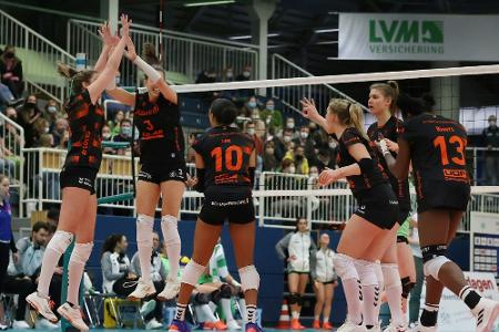 Volleyball: Stuttgart startet mit großen Ambitionen Volleyball: Stuttgart startet mit großen Ambitionen