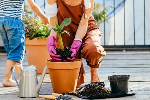 Pflanzen und Möbel schützen: Den Balkon herbst- und winterfest machen