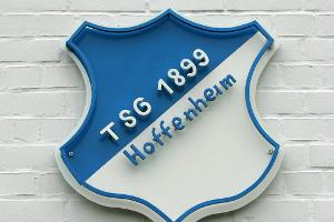 TSG Hoffenheim bekennt sich zum "Race to Zero"