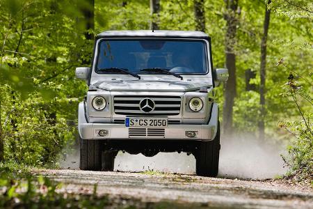 Mercedes Grill-Evolution