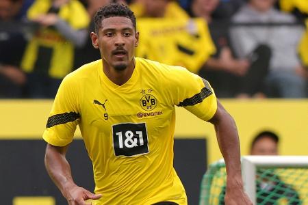 Hoden-Tumor: Haller muss operiert werden Hoden-Tumor: Haller muss operiert werden