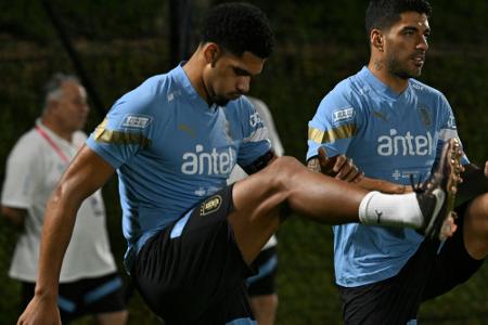 Uruguay kann bei WM auf Araujo bauen Uruguay kann bei WM auf Araujo bauen