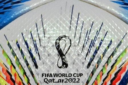 Umwelthilfe: Fußball-WM eine Umwelthilfe: Fußball-WM eine