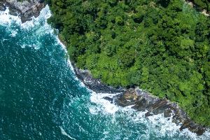 Queimada Grande: Das Paradies mit Biss vor Brasiliens Küste