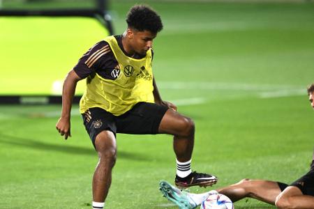 Adeyemi mit Leistung beim BVB Adeyemi mit Leistung beim BVB