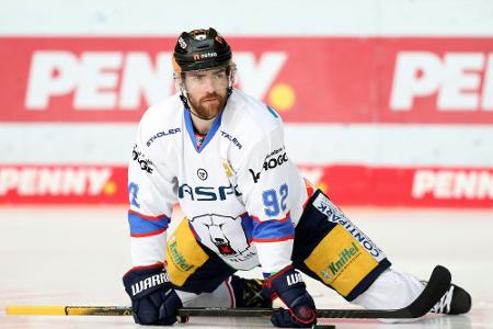Noebels zu Eisbären-Krise: Noebels zu Eisbären-Krise: