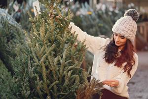Weihnachtsbaum: Umweltfreundliche Alternativen
