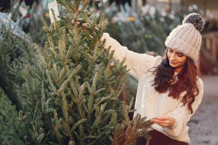 Weihnachtsbaum: Diese umweltfreundlichen Optionen gibt es Weihnachtsbaum: Diese umweltfreundlichen Optionen gibt es