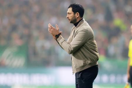 Schwarz sieht Herthas Entwicklung positiv Schwarz sieht Herthas Entwicklung positiv