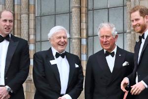 Versöhnung? Prinz Harry lässt Rückkehr in die königliche Familie offen