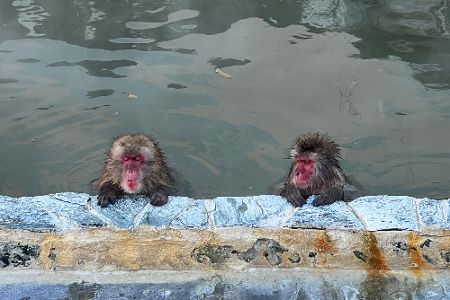 Onsen