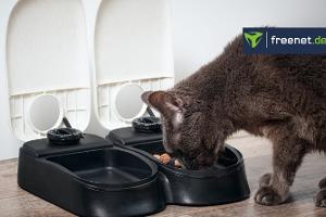 Futterspender im Vergleich