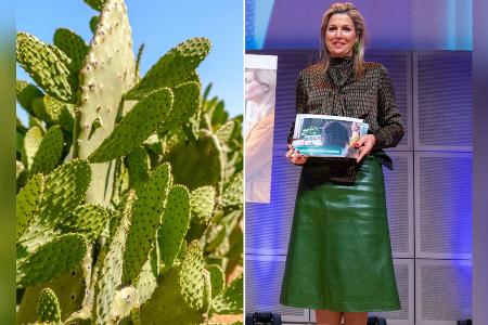 Vegane Alternative: Immer mehr Designer setzen jetzt auf Kaktusleder Vegane Alternative: Immer mehr Designer setzen jetzt auf Kaktusleder