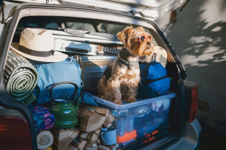 Was alles passieren kann, wenn Sie Ihr Auto überladen Was alles passieren kann, wenn Sie Ihr Auto überladen
