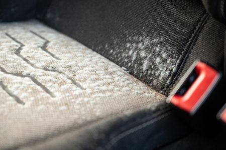Entfernen und vorbeugen: So gehen Sie bei Schimmel im Auto vor Entfernen und vorbeugen: So gehen Sie bei Schimmel im Auto vor