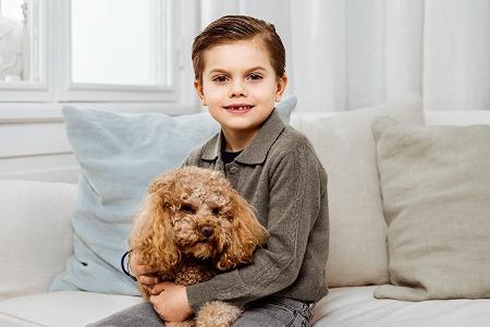 Zahnlücken-Alarm! Prinz Oscar feiert seinen 7. Geburtstag Zahnlücken-Alarm! Prinz Oscar feiert seinen 7. Geburtstag