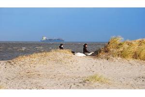Tee, Deiche und Watt in Ostfriesland