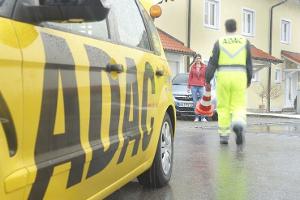Immer mehr Kats gestohlen