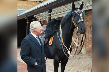König Charles III. hat ein neues Pferd geschenkt bekommen König Charles III. hat ein neues Pferd geschenkt bekommen