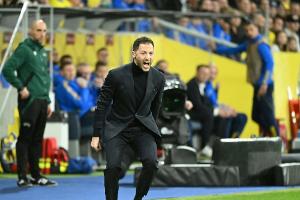Tedesco feiert Debütsieg mit Belgien