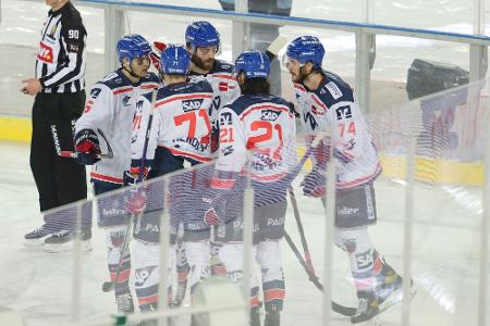 Ingolstadt im DEL-Halbfinale - Mannheim mit Aufholjagd Ingolstadt im DEL-Halbfinale - Mannheim mit Aufholjagd