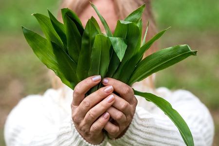 Die Bärlauch-Saison beginnt: Die wichtigsten Tipps fürs Sammeln